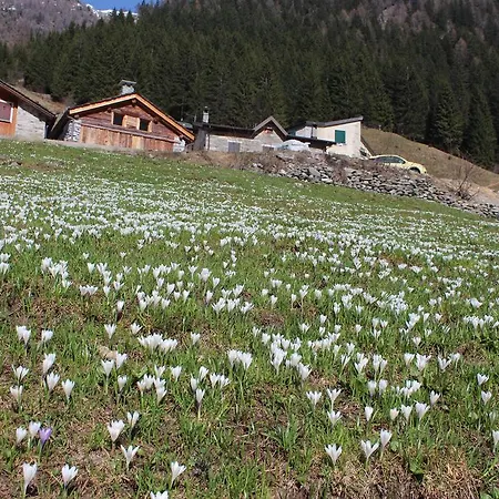 Rifugio Il Pirata Penzion *