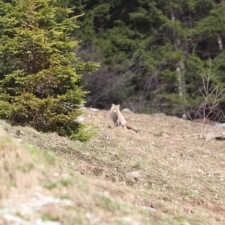 Penzion Rifugio Il Pirata Tartano